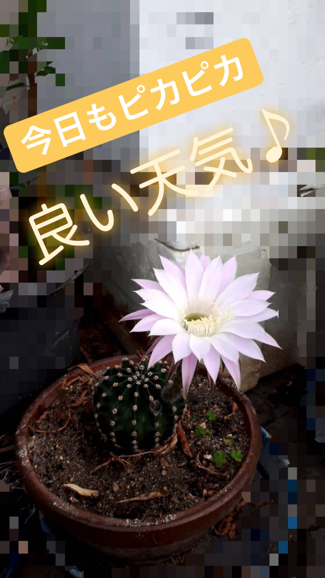 晴天＝ビール♪