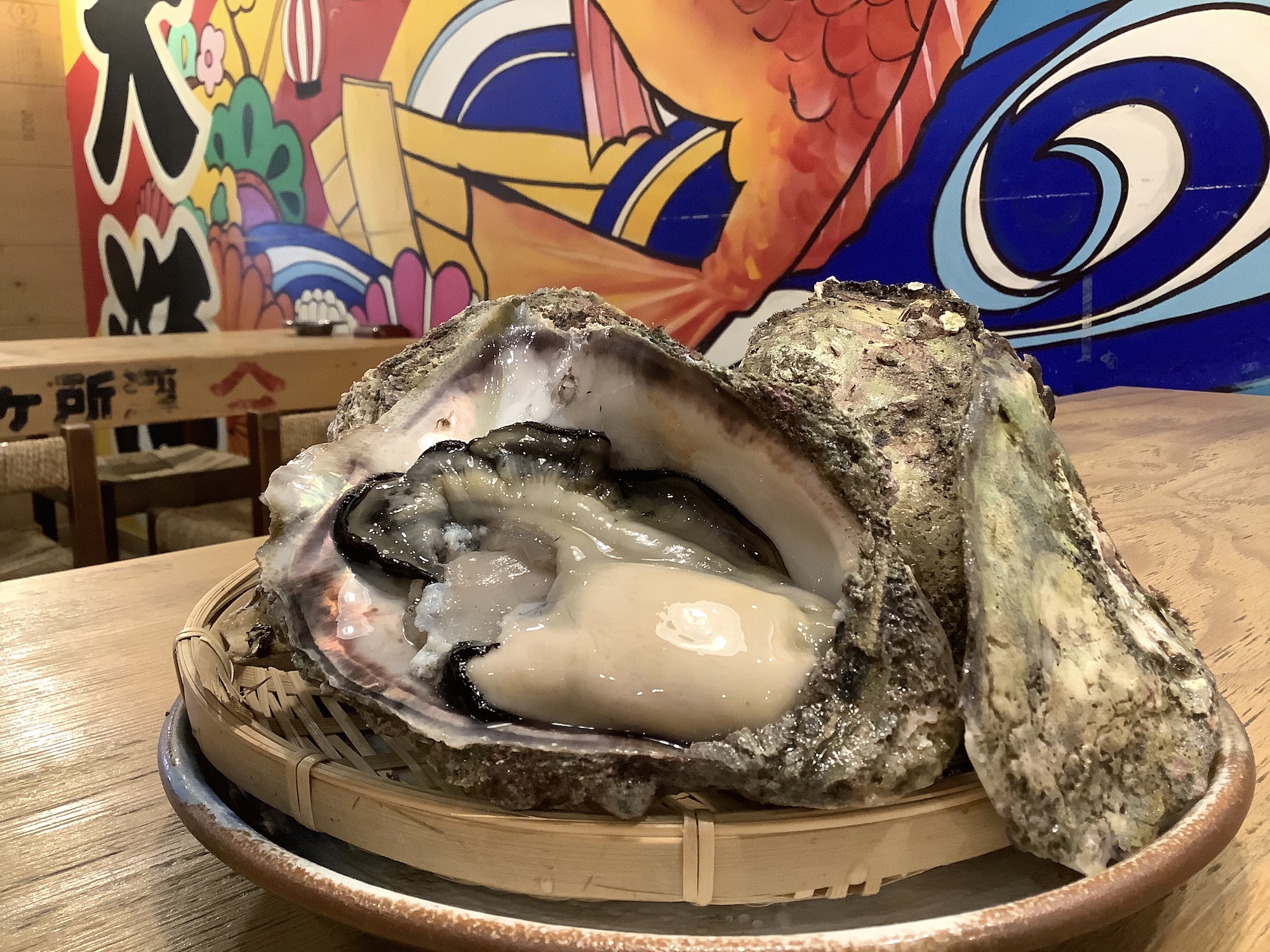 今日の一押し‼︎