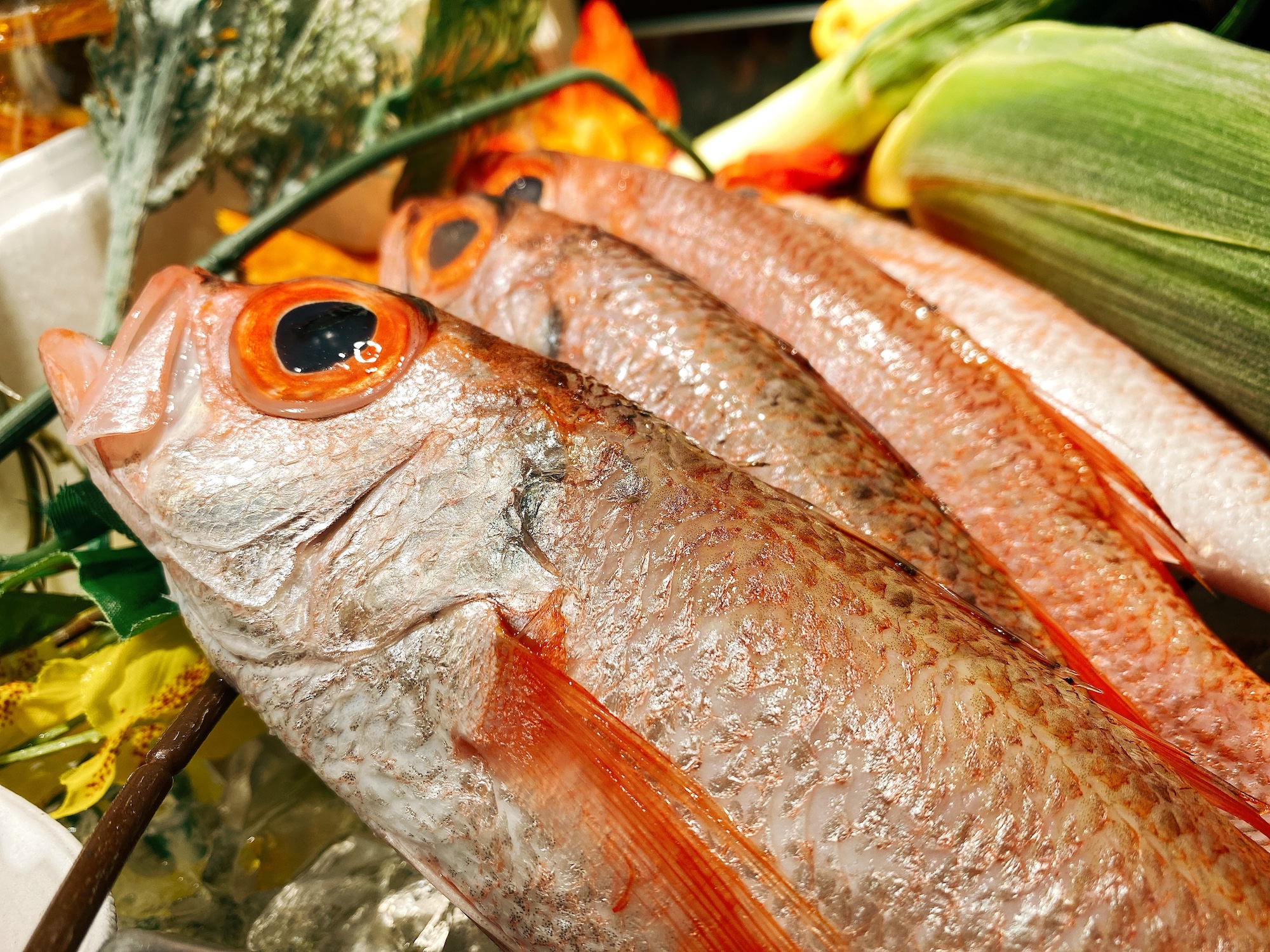 ノドグロ！これはヤバい！